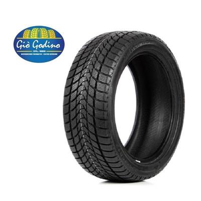 245/50R18 100H Delinte WINTER WD1